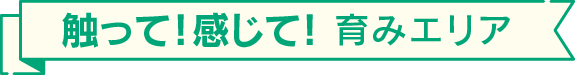 触って!感じて! 育みエリア
