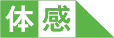 体感